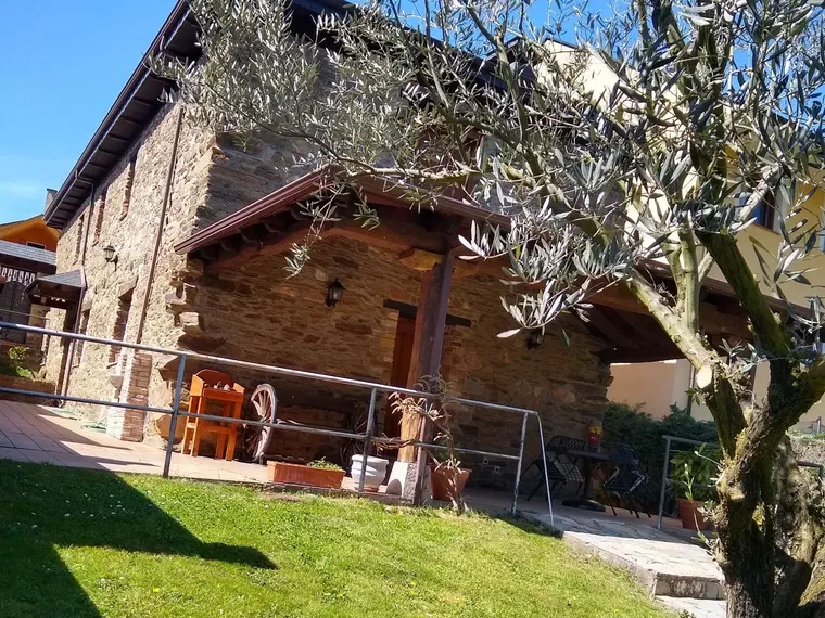La casa de piedra con un olivo y césped en el jardín