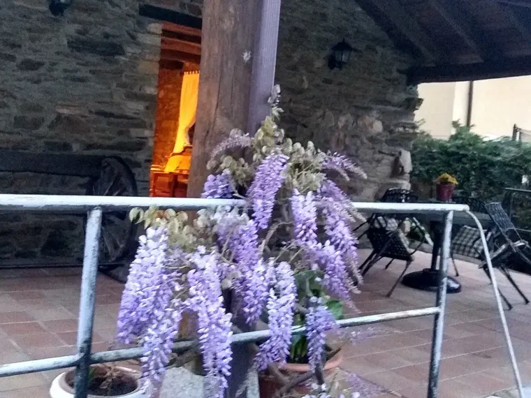 Porche cubierto de piedra con glicinia al atardecer